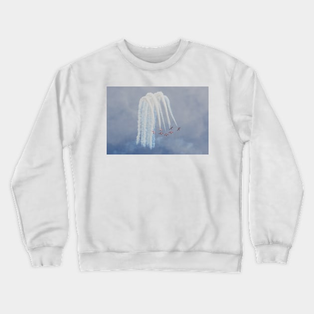 Up and Over: Snowbirds Crewneck Sweatshirt by CGJohnson